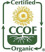 McCabe Organic Buckwheat Flour - Buckwheat Flour Organic | Rich with Fiber & Minerals | USDA and CCOF Certified | Packed in USA | 2Lbs (Pack of 2)