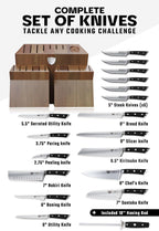 DALSTRONG Gladiator Series Elite-18pc Stainless Steel Knife Set with Block-High Carbon German Steel-Acacia Wood Block-Gift Knife Set w/Black Handles - NSF Certified