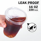 100 Pack 16 oz Clear Plastic Cups with Lids, Disposable Iced Coffee Cups with Sip Lids, Sturdy Plastic Smoothie Cups for Cold Drinks