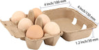 40 Pack 6 Count Egg Cartons, 6 Cell Pulp Fiber Egg Holders, Chicken Egg Holder Container Organizer