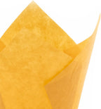 Orange Tulip Baking Cups, Mini Size, Pack of 50