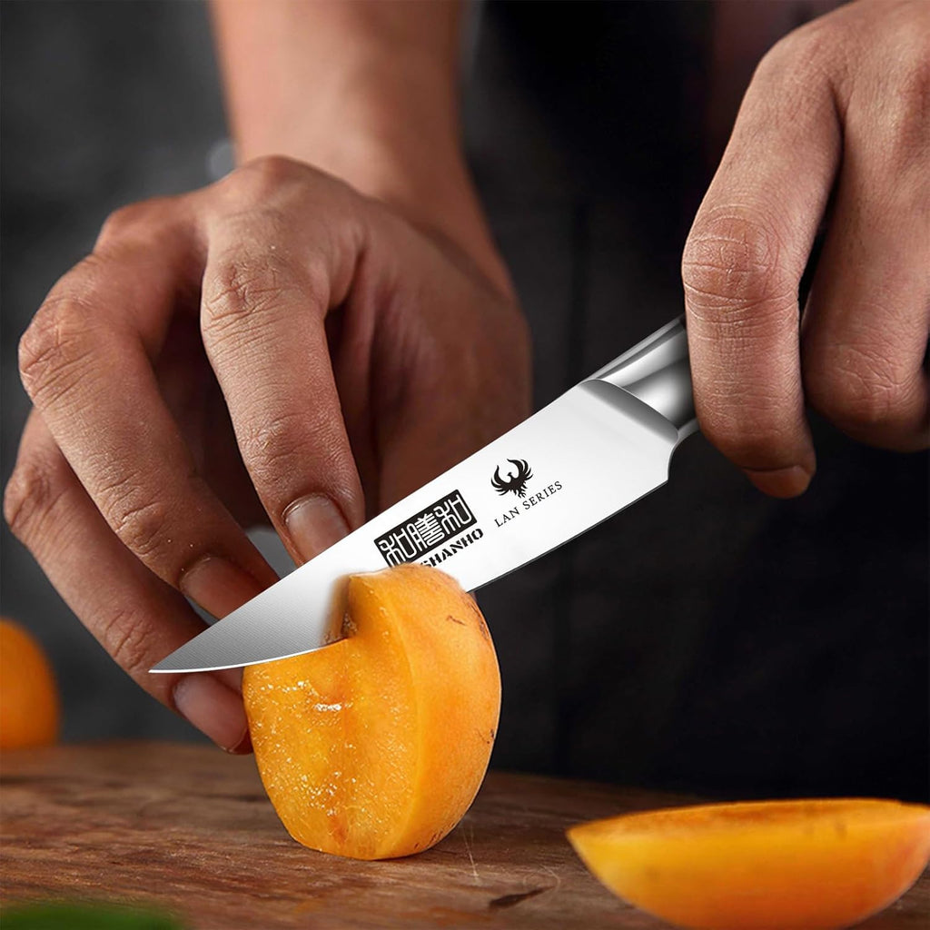 HOSHANHO 3-Piece Kitchen Knife Set, Ultra Sharp Chef/Santoku/Paring Knives,Professional High Carbon Steel Knives with Ergonomic Handle, Ideal Cooking Gift Set