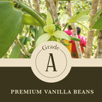 Cook's, Choice Premium Quality Pure Vanilla Extract, 4 oz