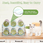 REFLYING Cat Food Can Organizer, 2-Layer Transparent Cat Food Storage Container Holds 36 (3.5oz) Cans, Canned Cat Food Organizer and Storage for Countertop Kitchen Cabinet or Pantry Shelf (2 layers)