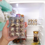 220 Pack Quail Egg Cartons, Clear Plastic Quail Egg Trays, Holds up to 12 Quail Eggs Securely - Your Ultimate Small Eggs Carton Holders for Bulk Storage and Display
