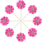 24Pcs Daisy Cupcake Toppers Flower Cake Topper Decorations Daisy Cake Decorations Chrysanthemum Cupcake Toppers Spring Daisy Flower Cake Picks for Birthday Wedding Supplies Rose Red