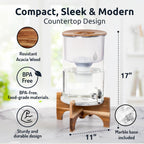 Invigorated Water pH Recharge Alkaline Water Filter Dispenser – BPA-Free Glass Countertop Water Filter Pitcher Purifier for Home & Office, 36-Cup Capacity, 360L Long Filter Life (Acacia/Marble)