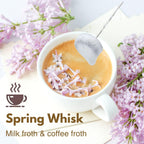 Rechargeable Milk Frother Battery Operated,2-Speed Portable Travel Frother,Electric Milk Foamer Coffee Frother for Latte, Cappuccino, Hot Chocolate Drink Mixer with Double Mini Whisks and USB Cable