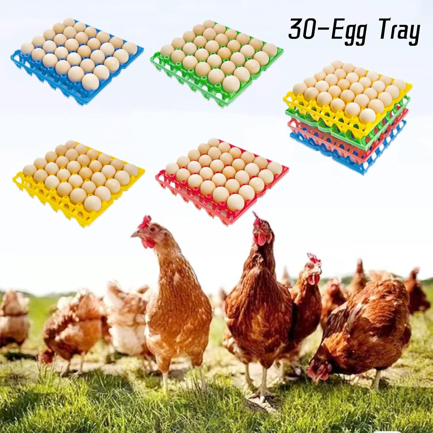 4-Pack Plastic Egg Tray Egg Crates, 30-Egg Flats, Stackable, Durable, Reusable, Green