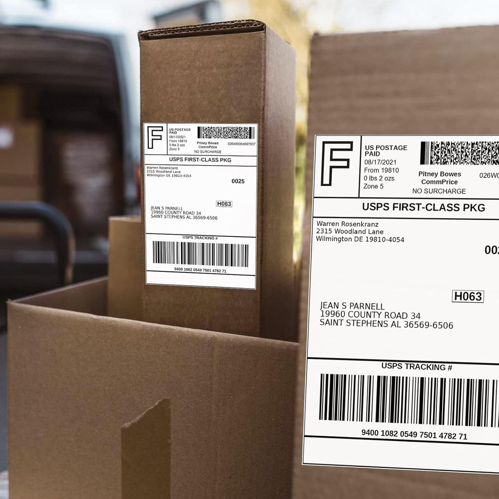 FungLam 80 Rolls 4x6 Direct Thermal Shipping Labels, 250 Labels Per Roll, 1" Core, Perforated, White Mailing Postage Shipping Label Compatible with Zebra 2844 ZP-450 ZP-500 ZP-505