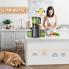 Cold Press Juicer, Juicer Machines with 5.4" Wide Feed Chute for Juice Extractor, Professional Slow Masticating Juicer for Whole Vegetables & Fruits with High Juice Yield, Easy to Clean (Black)