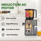 Cold Press Juicer, 5.4" Wide Feed Chute Juicer Machines for Vegetable and Fruit, Slow Masticating Juicer with AC Moter, Easy to Clean, AC-Grey