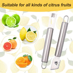 2 Piece Stainless Steel Lemon Zesters, Upgraded Lemon Zester & Channel Knife Set, Citrus Zester & Orange Peeler Tool, Premium Lemon Grater for Family Kitchen, for Bar Bartenders