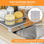 Dish Drying Rack, Stainless Steel Rustproof Dish Rack for Kitchen Counter, Sturdy Dish Drainer with Drainboard, Drainage, Utensil Holder for Various Kitchenware, 16.2"(L) x 12.6"(W), Grey