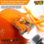 Cheese Grater and Lemon Zester, Handheld for Grating Cheese Chocolate Citrus Peel Ginger Potatoes,two Kitchen and Bar tools