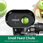 Slow Masticating Juicer,Brecious Cold Press Juicers with 2 Speed Modes & Quiet Motor,Juicers Machines Vegetable and Fruit with Reverse Function,Celery Juicer,BPA-Free,Easy to Clean (White)