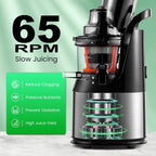 Ventray Cold Press Juicer, Slow Juicer Machine with 3-inch Large Feed Chute for Whole Fruits & Vegetables, 240W Electric Masticating Juice Extractor, High Juice Yield, Easy to Clean