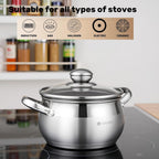 Daniks Classic Stainless Steel Stock Pot with Glass Lid – Induction 2 Quart, Dishwasher Safe, Measuring Scale, For Soup, Pasta, Stew, Silver