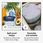 STOJO Collapsible Sandwich Box – 24oz, Reusable Food Storage Container, Silicone Bowl for Hot/Cold Food – Meal Prep, Lunch, Camping, Hiking – Dishwasher Safe (Set of 5, Translucent Eucalyptus)