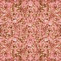 ConfectPink and Gold Edible Sprinkle Mix, Metallic Cake Decorations, Cupcake Toppers, Baking Toppings for Birthday, Wedding, Party Cakes | Vegan, Gluten-Free, Nut-Free, Soy-Free, Dairy-Free, Palm Oil-Free- 4.2 Oz