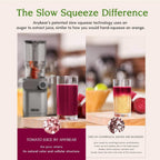 Cold Press Juicer, 200W Masticating Slow Juicer 4.3" Large Feed Chute Fit Whole Fruits Vegetables | Upgraded Auger | Tritan Material | BPA Free | Juice Recipes (Silver)