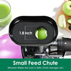 Slow Masticating Juicer,Brecious Cold Press Juicers with 2 Speed Modes & Quiet Motor,Juicers Machines Vegetable and Fruit with Reverse Function,Celery Juicer,BPA-Free,Easy to Clean (Purple）