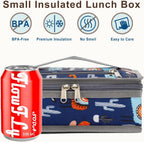 FlowFly Small Insulated Lunch box Portable Soft Bag Mini Cooler Thermal Meal Tote Kit with Handle for Work & School (Alpaca)