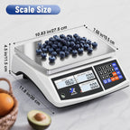 Industrial Counting Scale, 66lb/30kg Industrial Scale Electronic Bench Scale with Stainless Steel Platform LCD Display, Digital Inventory Scale for Small Parts Coins Piece, 0.0002lb/0.1g, lb/g/kg/oz