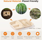 100 PCS Taco Plates Disposable, Bagasse Pulp 2-Slot Taco holder with Side Compartments, Safe Plant Fiber Tray for Taco Tuesday, Party, Sandwich, Hot Dog, Sauce & Snack Serving (With Compartments)