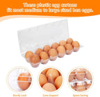 60 Pack Plastic Egg Cartons Cheap Bulk One Dozen Clear Empty Egg Cartons for Chicken Eggs, Reusable Egg Holders for Home Ranch Chicken Farm, Commercial Business Market Display, 2x6 Grids, Large