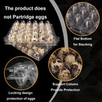 100 Pack Quail Egg Cartons, Clear Plastic Quail Egg Trays, Holds up to 30 Quail Eggs Securely - Your Ultimate Small Eggs Carton Holders for Bulk Storage and Display by KUKLIPJIM