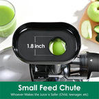 Slow Masticating Juicer,Brecious Cold Press Juicers with 2 Speed Modes & Quiet Motor,Juicers Machines Vegetable and Fruit with Reverse Function,Celery Juicer,BPA-Free,Easy to Clean (Silver)