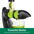 Slow Masticating Juicer,Brecious Cold Press Juicers with 2 Speed Modes & Quiet Motor,Juicers Machines Vegetable and Fruit with Reverse Function,Celery Juicer,BPA-Free,Easy to Clean (White)