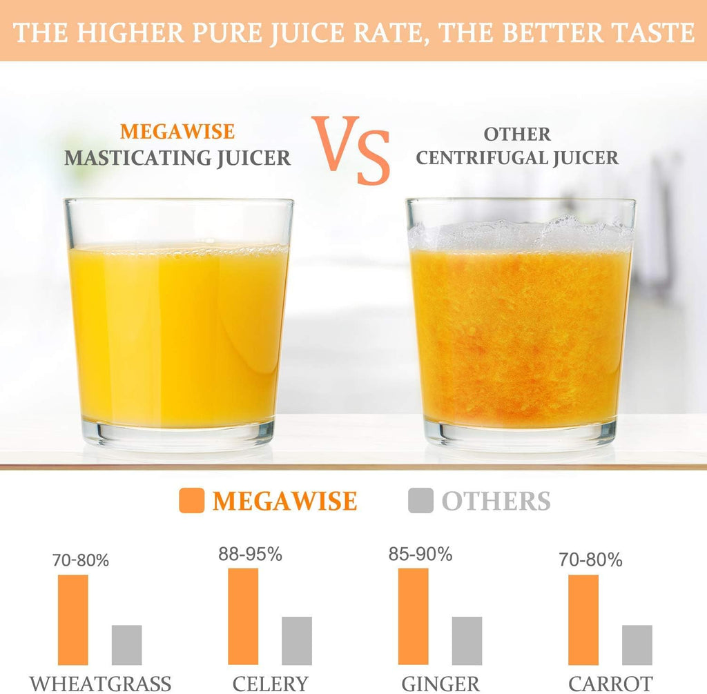 MegaWise Pro 2025 Updated Slow Masticating Juicer, 95% Juice Yield, 2-Speed & 9-Segment Spiral Cold Press, for Vegetables Fruits Nuts, Enhanced Nutrition Better Taste