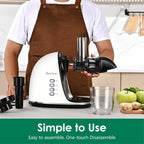 Slow Masticating Juicer,Brecious Cold Press Juicers with 2 Speed Modes & Quiet Motor,Juicers Machines Vegetable and Fruit with Reverse Function,Celery Juicer,BPA-Free,Easy to Clean (White)