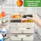 4 Compartment Snack Box Container Tray, Divided Serving Tray with Lid, Mini Small Snackle Box, Portable Charcuterie Container for Party, Picnic, Travel, Food Platter for Snack, Fruits, Veggies