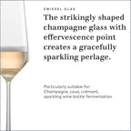 ZWIESEL GLAS Pure Champagne Glass (Set of 2), Champagne Flutes with Effervescent Point, Dishwasher-Safe Tritan Crystal Glasses, Made in Germany (7 Ounce)