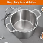 DELARLO Tri-ply Stainless Steel 20QT Stock Pot, Compatible with All Stoves Up to 600℉, 18/10 Induction Big Cooking Pot with Lid, Fast & Even Heating, Durable Large Soup Pot