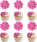 24Pcs Daisy Cupcake Toppers Flower Cake Topper Decorations Daisy Cake Decorations Chrysanthemum Cupcake Toppers Spring Daisy Flower Cake Picks for Birthday Wedding Supplies Rose Red
