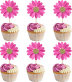 24Pcs Daisy Cupcake Toppers Flower Cake Topper Decorations Daisy Cake Decorations Chrysanthemum Cupcake Toppers Spring Daisy Flower Cake Picks for Birthday Wedding Supplies Rose Red