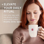 Illy Whole Bean Coffee, Classico Medium Roast - Mild & Balanced - 100% Arabica - Whole Beans - Pressurized Packaging Sealed for Freshness - 8.8oz can (Pack of 12)