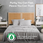 100% Viscose from Bamboo Sheets Queen Size, Super Soft Bedding Set, 4PC Cooling Sheets for Hot Sleepers, Vegan Silk Moisture Wicking, Organically Grown Bedsheet, Gray Mist - 60" x 80"