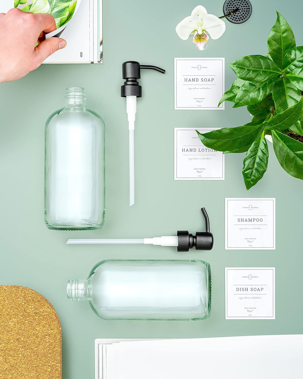 Vine Creations Clear Glass Soap Dispenser, 2 Pack Kitchen Soap Dispenser Set with Stainless Steel Pump, 16 oz Dish Soap and Hand Soap Dispensers for Bathroom with Waterproof Labels