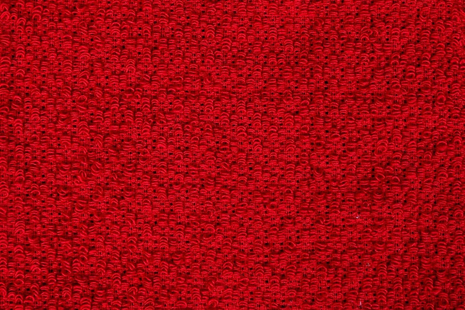 Amour Infini Kitchen Towels Pack of 4 - Absorbent, Quick Drying Premium Cotton Tea Towel - Kitchen Linens 16x28 Inch Dish Towels with Hanging Loop (Red)