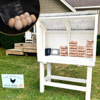 150 Pack Bulk Egg Cartons, Clear Plastic Chicken Egg Holders, Egg Tray Carton Holder for Home & Kitchen, Farm & Market Use, An Eco-Friendly Egg Storage Solution, 8 Grids，(Medium Size)…