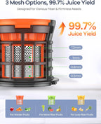 Ganiza Juicer Machines, Cold Press Juicer with 4.3" Large Feed Chute for Whole Fruits & Vegetables, Slow Masticating juicers with 3 Replace Filters for Batch Juicing, Easy to Clean, BPA Free (Black)