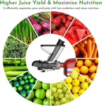 Masticating Juicer Attachment for KitchenAid Stand Mixer, Cold Pressed Juicer Machine, Slow Masticating with Dual Feed Chute, Bladeless Design, Max Nutrient Retention, Easy Clean by InnoMoon