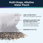 Invigorated Water pH ON-The-GO Alkaline Water Filter Pouch- Portable Alkaline Water Filtration System for Your Bottle, Pitcher, Jug, Container - High pH Water - Long-Life 105 Gallon/400 Litre (1-Pack)