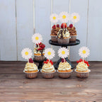 24Pcs Daisy Cupcake Toppers Flower Cake Topper Decorations Daisy Cake Decorations Chrysanthemum Cupcake Toppers Spring Daisy Flower Cake Picks for Birthday Wedding Supplies White