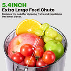 Cold Press Juicer, 5.4" Wide Feed Chute Juicer Machines for Vegetable and Fruit, Slow Masticating Juicer with AC Moter, Easy to Clean, AC-Grey